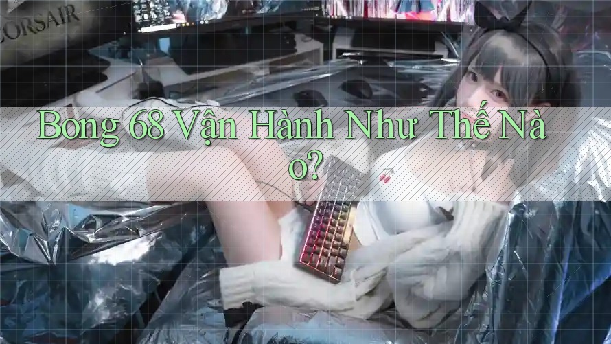 Bong 68 Vận Hành Như Thế Nào? Bong 68 Vận Hành Như Thế Nào?