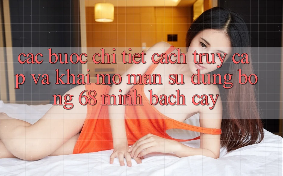 Các bước Chi Tiết Cách Truy Cập Và Khai mở màn Sử dụng bong 68 Minh bạch cậy