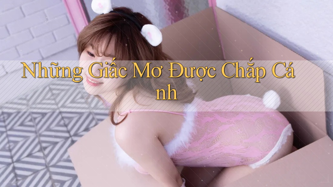 Những Giấc Mơ Được Chắp Cánh Những Giấc Mơ Được Chắp Cánh