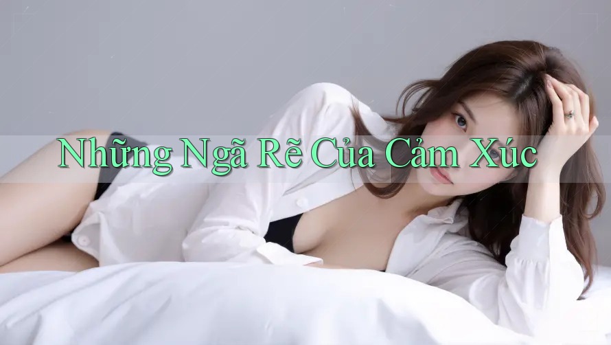 Những Ngã Rẽ Của Cảm Xúc Những Ngã Rẽ Của Cảm Xúc
