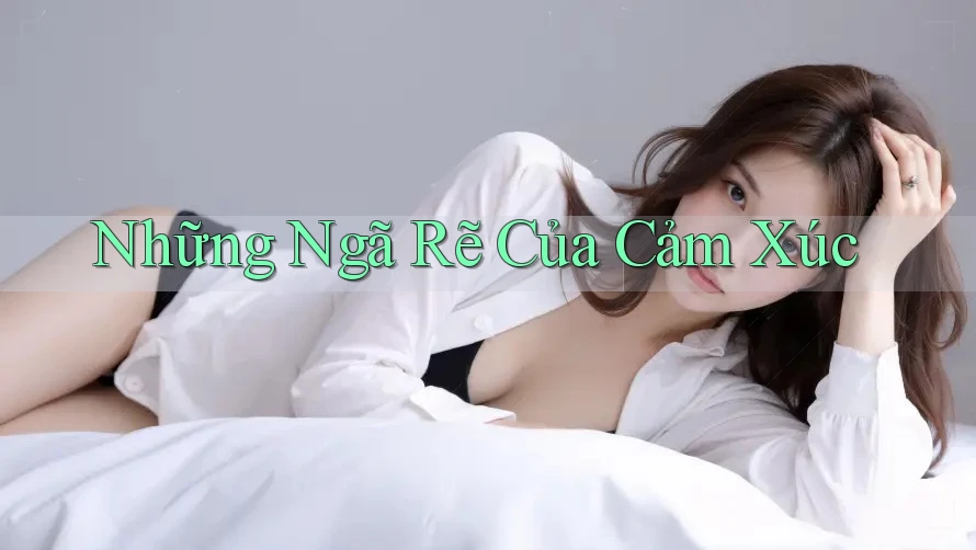 Những Ngã Rẽ Của Cảm Xúc Những Ngã Rẽ Của Cảm Xúc
