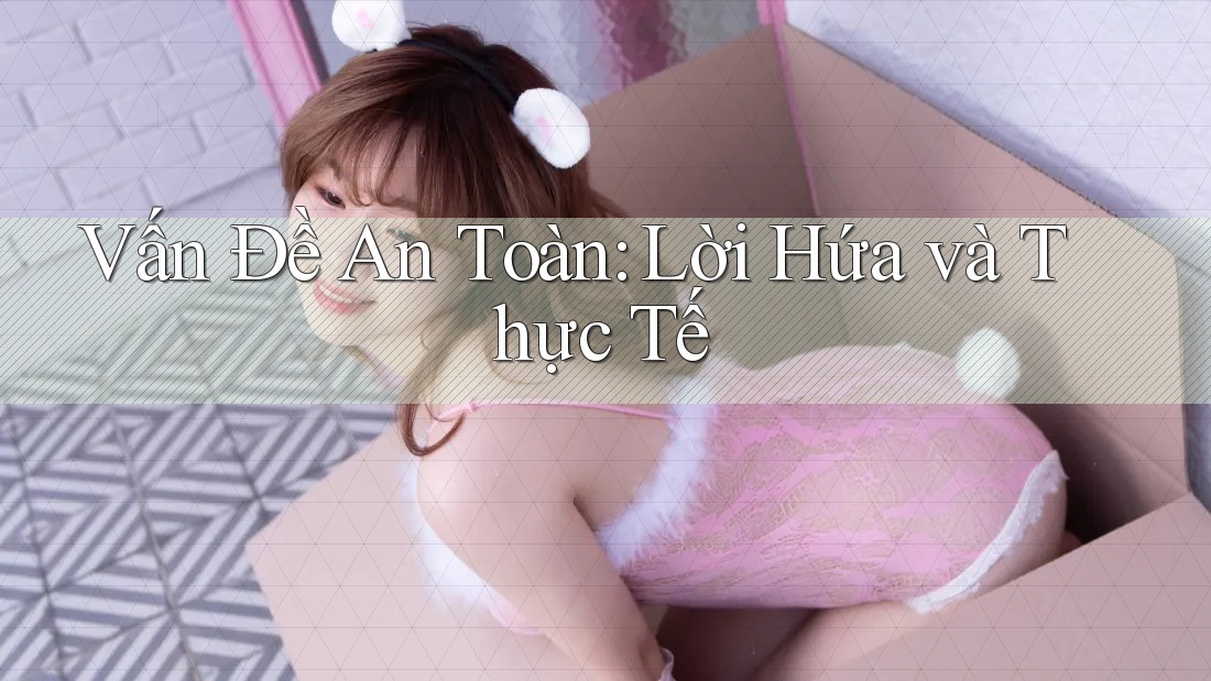 Vấn Đề An Toàn: Lời Hứa và Thực Tế Vấn Đề An Toàn: Lời Hứa và Thực Tế